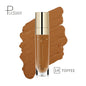 Blushimmer face contour concealer palette with liquid waterproof foundation and correctors for dark skin, professional makeup kit.