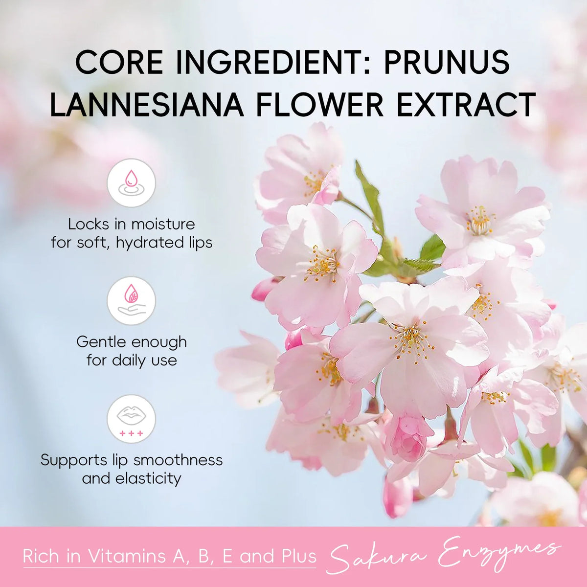 Blushimmer BIOAQUA Sakura lipstick set with cherry blossom design, moisturizing and brightening lip balm for nourishing hydrated lips.