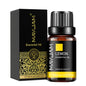 Blushimmer Lavender Jasmine Eucalyptus vanilla sandalwood fragrance oil bottle with a white cap, set against a neutral background.