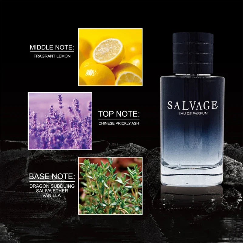 Blushimmer men's perfume spray with long-lasting, alluring fragrance and pheromones, designed to be irresistible and attractive.