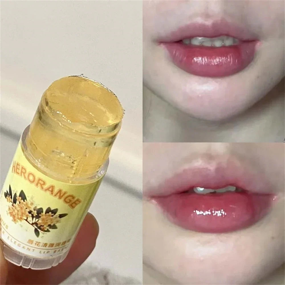 Blushimmer transparent coconut lip balm with moisturizing jelly formula, hydrating lipstick to fade fine lines and prevent dryness