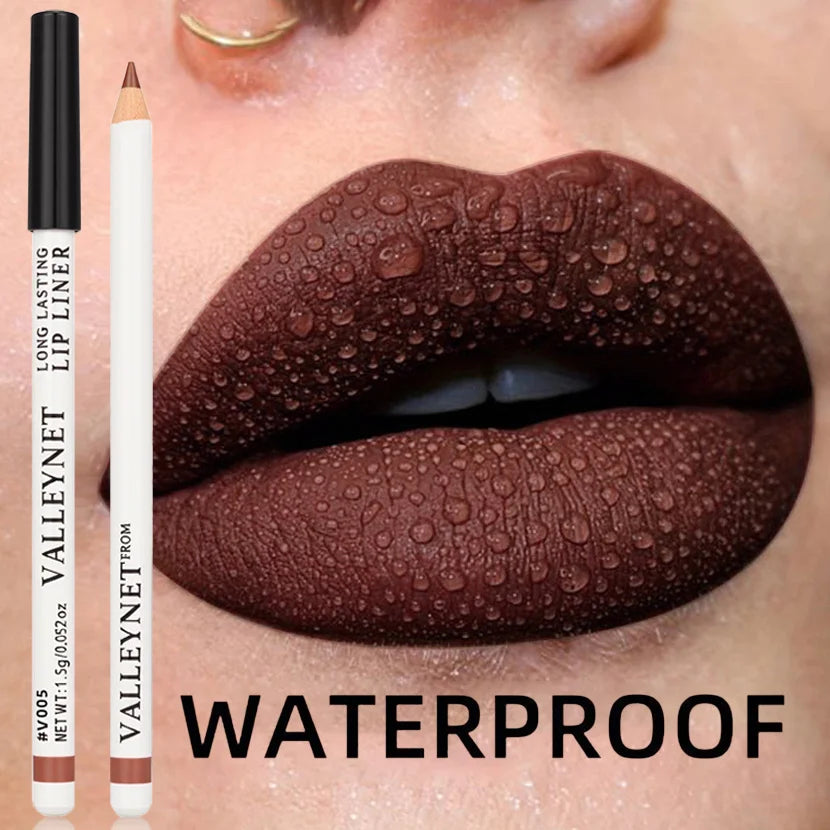 Blushimmer 4-piece waterproof lip liner and lipstick set with 2-in-1 eyeliner and lip color for women, versatile makeup kit.