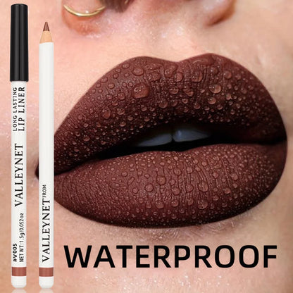 Blushimmer 4-piece waterproof lip liner and lipstick set with 2-in-1 eyeliner and lip color for women, versatile makeup kit.