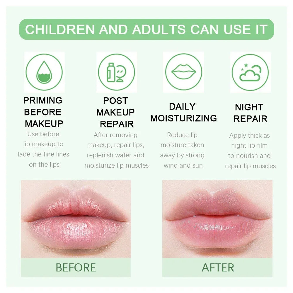 Blushimmer 18-style clear fruit lip balm and lip gloss with moisturizing, hydrating, and anti-wrinkle benefits in a sleek applicator.