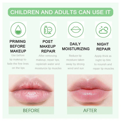 Blushimmer 18-style clear fruit lip balm and lip gloss with moisturizing, hydrating, and anti-wrinkle benefits in a sleek applicator.