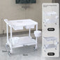 European Plastic Salon Trolleys with Wheels Auxiliary Tool Cart Designer Salon Furniture Beauty Salon Instrument Equipment Shelf