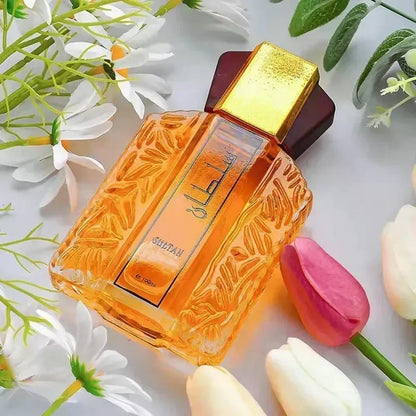 Blushimmer 100ml Arabic-style strong men's perfume bottle with high-quality fragrance, designed to attract women and leave a lasting impression