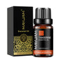 Blushimmer MAYJAM 10ml essential oil bottle with lavender, jasmine, eucalyptus, vanilla, sandalwood, bergamot, and cinnamon fragrances.