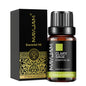 Blushimmer Lavender Jasmine eucalyptus vanilla sandalwood bergamot and cinnamon fragrance oil in 10ml bottle.