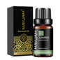 Blushimmer Mayjam 10ml essential oil bottle with lavender, jasmine, eucalyptus, vanilla, sandalwood, bergamot, rosemary, citronella, and cinnamon
