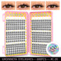 Blushimmer GROINNEYA eyelash clusters, 320 pcs natural eyelash extension strip with mixed volume lash clusters on tray