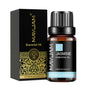 Blushimmer Lavender Jasmine Eucalyptus vanilla sandalwood fragrance oil bottle with colorful label and dropper cap.