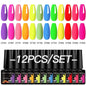 12-piece Blushimmer all-season nail gel polish set with multicolor shades, UV and LED safe, long-lasting nail supplies for women.