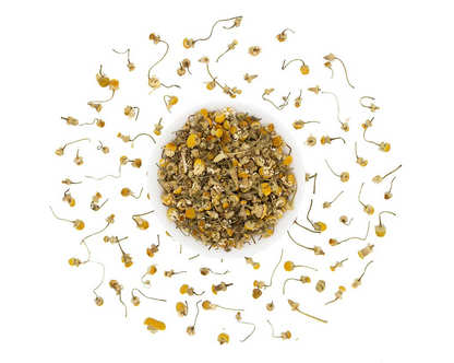 Loose leaf Organic Chamomile Tea from Good Brothers Coffee LLC, showing dried chamomile flowers in a clear container.