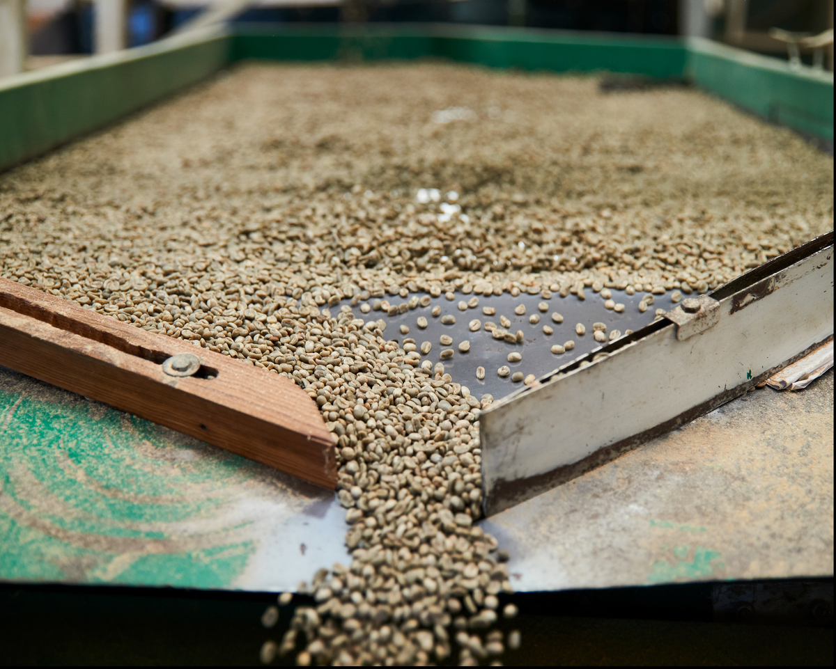 Roasted Mexican FTO Chiapas coffee from Fesich Cooperative by Good Brothers Coffee LLC, showing a steaming cup on a rustic table.
