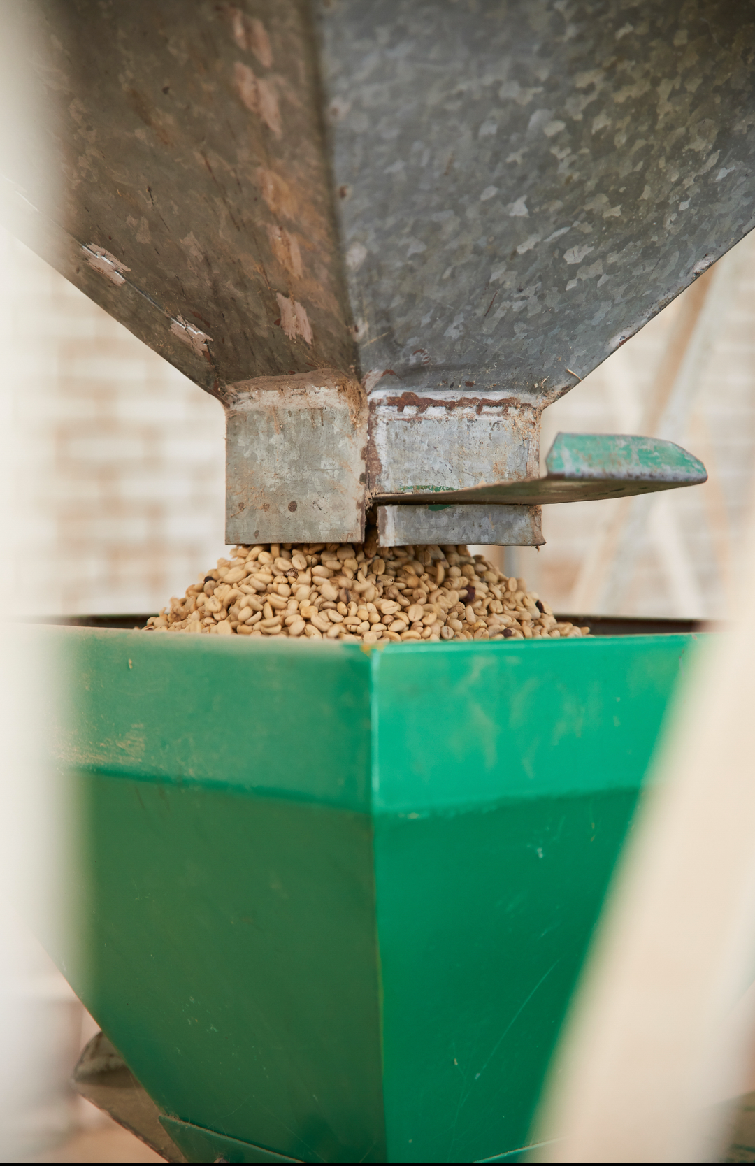 Roasted Mexican FTO Chiapas coffee from Good Brothers Coffee LLC, showing brewed coffee in a cup with rich aroma.