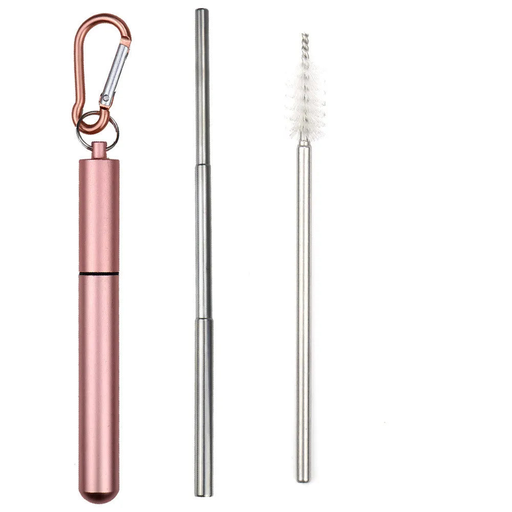 Portable Stainless Steel Telescopic Straw