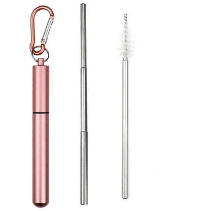 Portable Stainless Steel Telescopic Straw