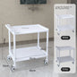 European Plastic Salon Trolleys with Wheels Auxiliary Tool Cart Designer Salon Furniture Beauty Salon Instrument Equipment Shelf