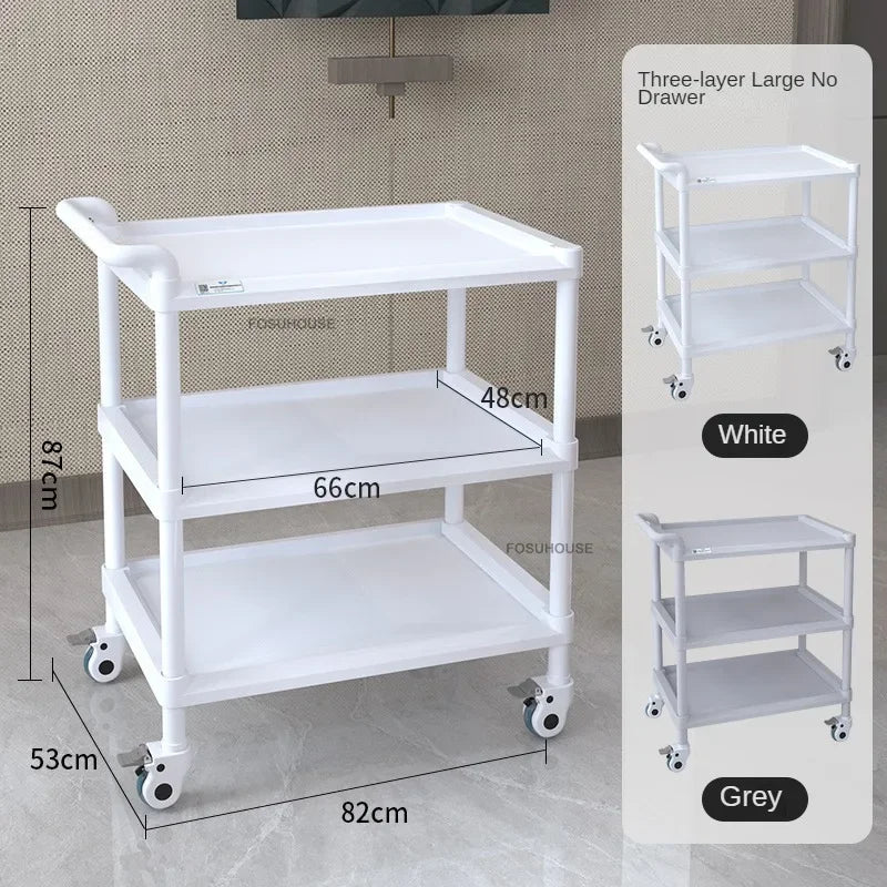 European Plastic Salon Trolleys with Wheels Auxiliary Tool Cart Designer Salon Furniture Beauty Salon Instrument Equipment Shelf
