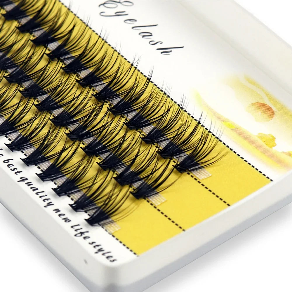 Blushimmer 20D/30D Mink Eyelashes in a box with 60 bundles, natural 3D Russian eyelash clusters for makeup and lash extension.