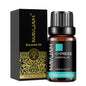 Blushimmer MAYJAM 10ml essential oil fragrance bottle with lavender, jasmine, eucalyptus, vanilla, sandalwood, and citrus scents.