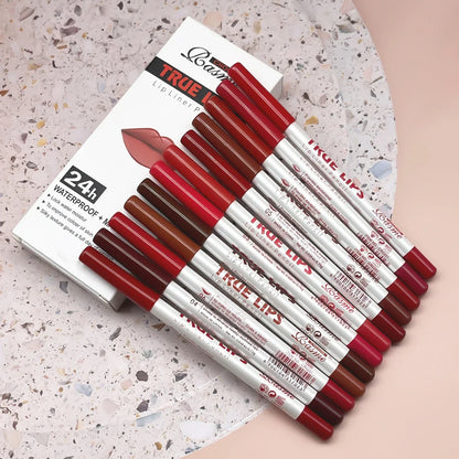 Set of 12 long-lasting lipsticks with professional lip liner and matte lip gloss by Blushimmer, perfect for women’s Valentine’s Day gifts.