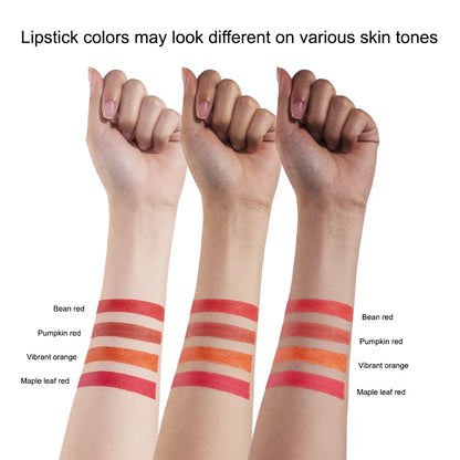 Blushimmer cigarette lip gloss set with four velvet matte, waterproof, long-lasting lipsticks in various colors, displayed on a white background.