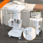 European Plastic Salon Trolleys with Wheels Auxiliary Tool Cart Designer Salon Furniture Beauty Salon Instrument Equipment Shelf