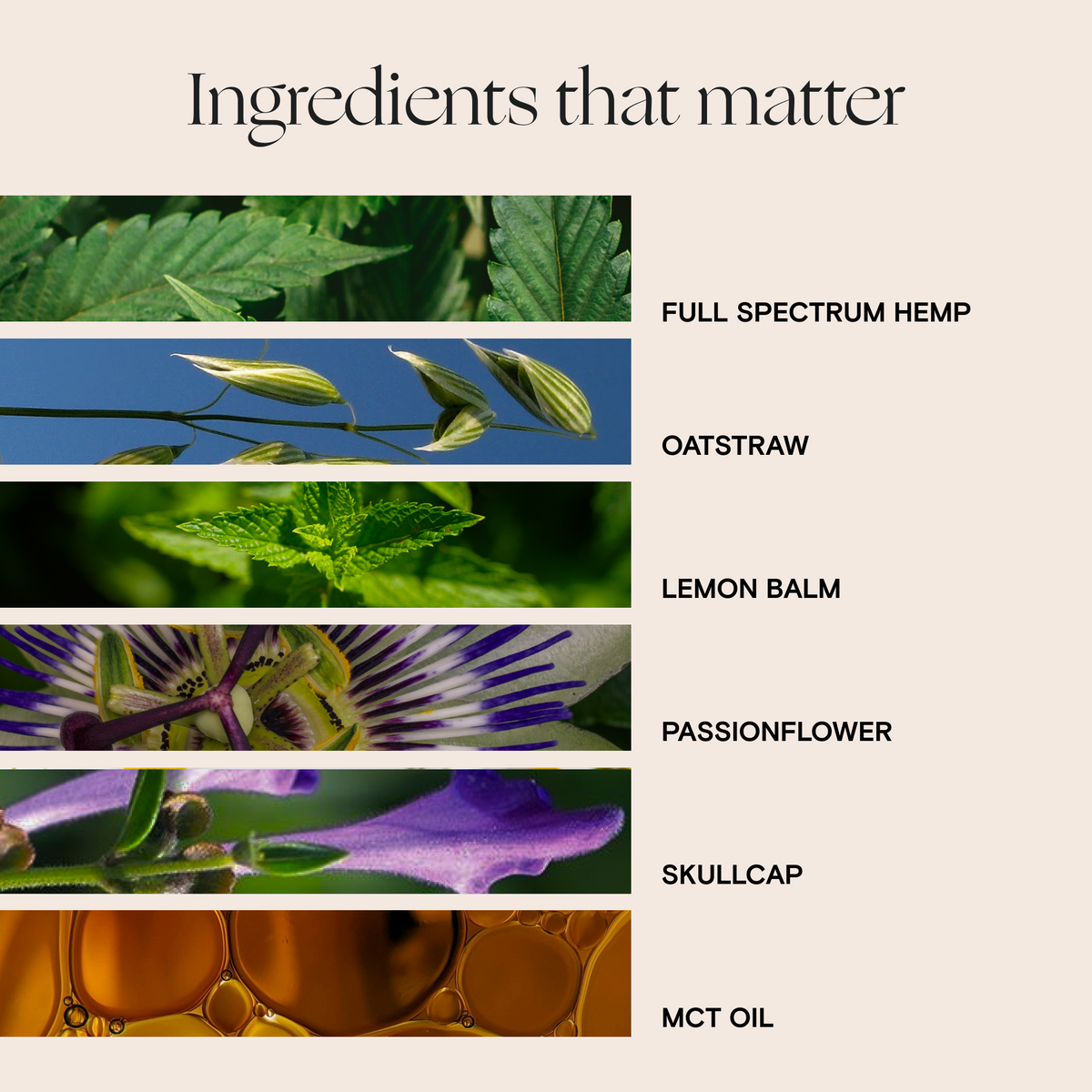 Foria Sleep Blend oils and tinctures with natural herbal ingredients for relaxation and sleep support.