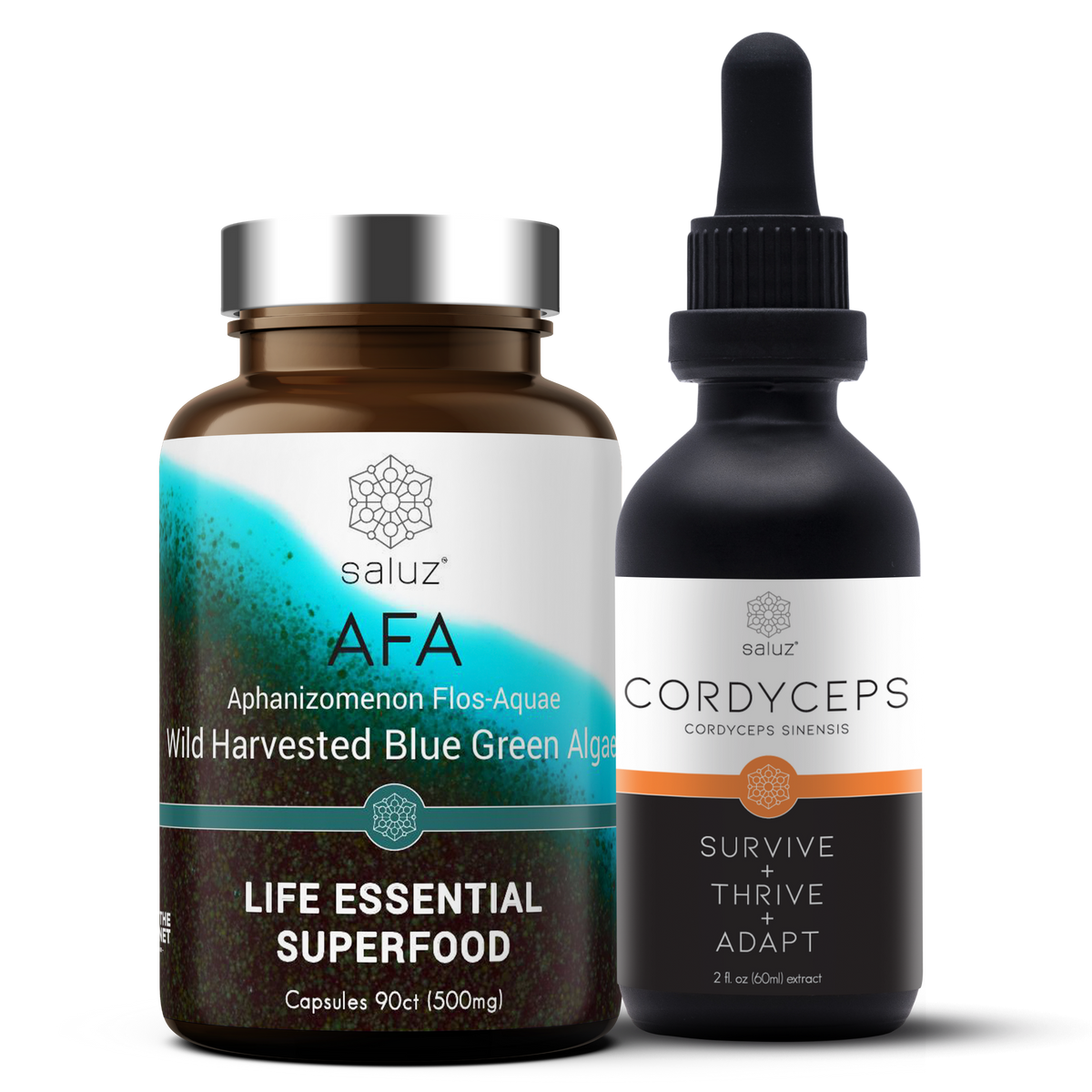 Saluz.io Energy and Performance vitamins supplement featuring a sleek bottle and vibrant packaging designed to boost energy and support weight loss.