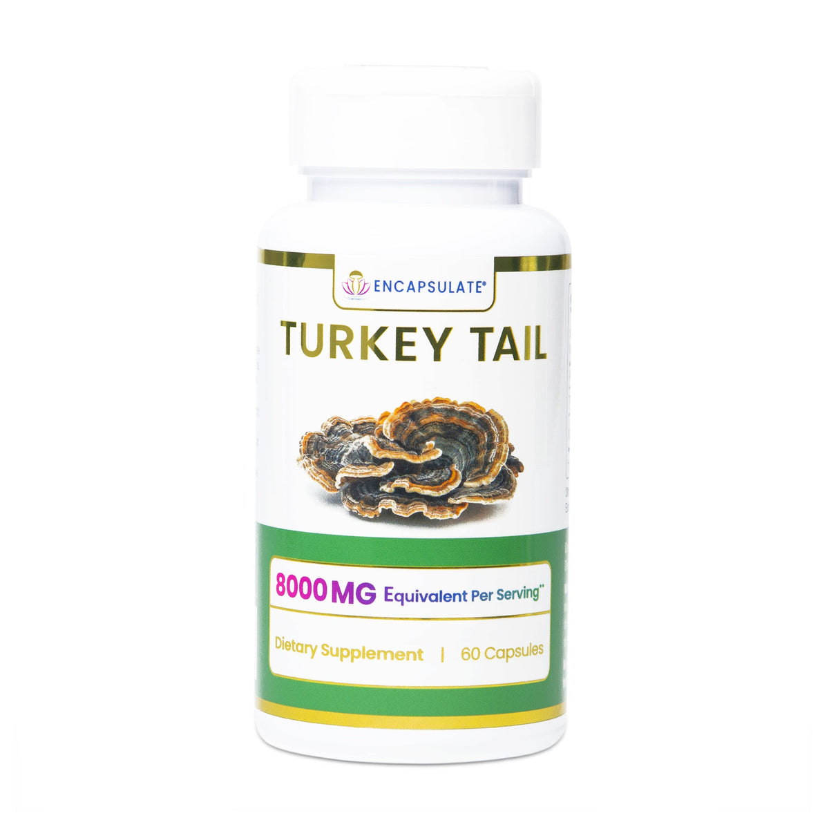 Encapsulate Turkey Tail Mushroom 8:1 supplement capsules, showing the product bottle with capsules inside.