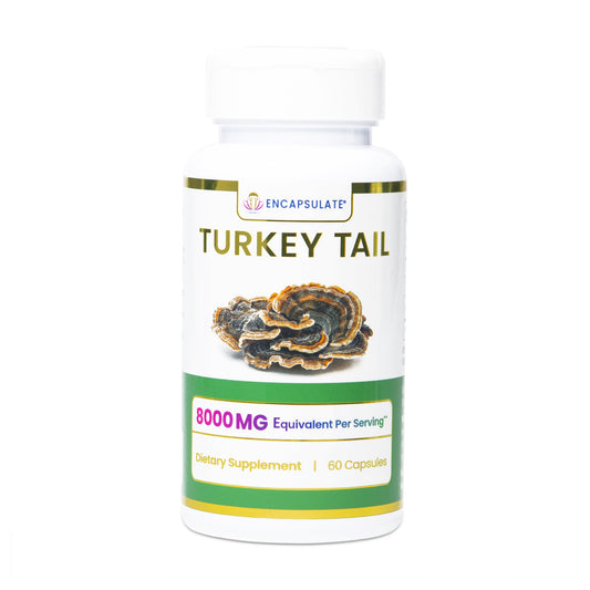 Encapsulate Turkey Tail Mushroom 8:1 supplement capsules, showing the product bottle with capsules inside.