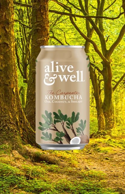 Organic Oak & Coconut Kombucha by Alive & Well, six bottles in a 6-pack, featuring a clear glass bottle with a colorful label.