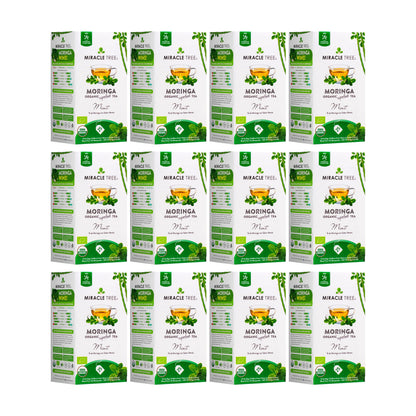 Organic Moringa Tea with mint from Miracle Tree, caffeine-free herbal tea in a clear glass cup with fresh mint leaves.