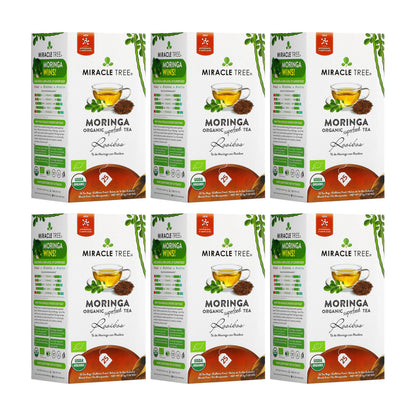 Organic Moringa Tea by Miracle Tree, caffeine-free herbal rooibos tea in a clear glass cup with dried leaves and tea bags.