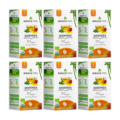 Organic Moringa Mango Herbal Tea by Miracle Tree in a clear glass cup with tea leaves and mango slices visible.