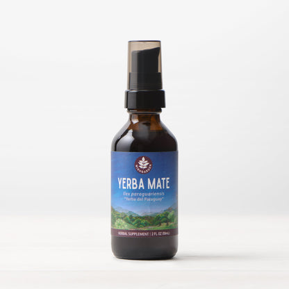 Single Yerba Mate tincture by WishGarden Herbs shown in a glass bottle with herbal label and natural background.