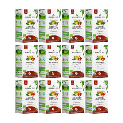 Organic Moringa Tea by Miracle Tree featuring strawberry flavor, caffeine-free herbal tea with fresh strawberry pieces and moringa leaves.