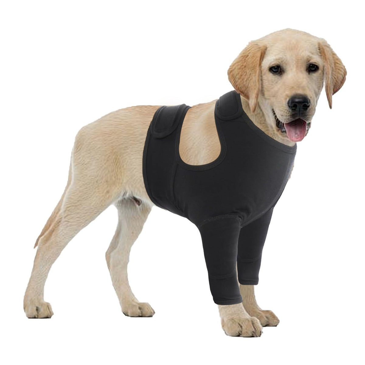 Dog front leg double protective gear protective cover in black and gray, designed for pet use