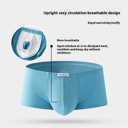 Men's cotton boxer briefs for four-season wear, universal fit in a classic design