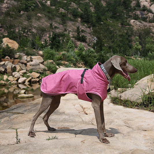 Pet shell jacket dog winter outdoors ski suit in insulated blue fabric with hood and adjustable straps