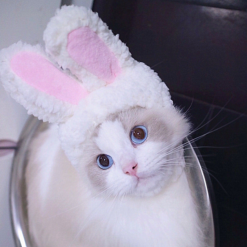 Funny pet dog cat costume warm hat photo prop headwear in a playful animal design