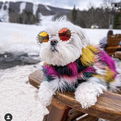 Cat and dog pearl sunglasses with pink frames and decorative pearl details