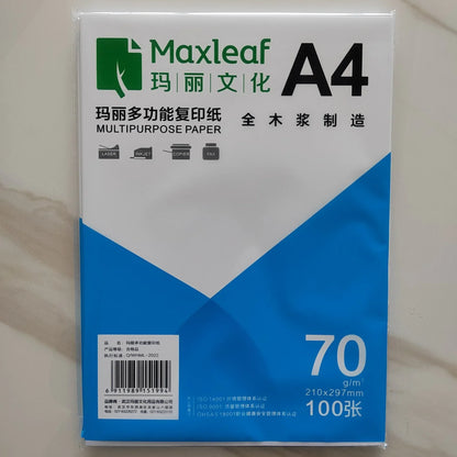A stack of 100 sheets of white A4 printer paper for office and business printing, with a smooth, multi-purpose design.