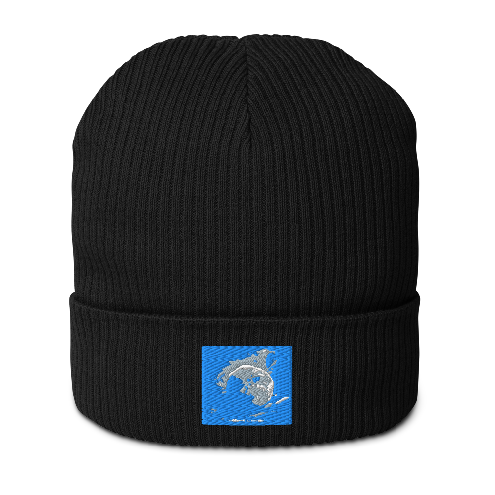 Black organic ribbed beanie from Atlantis by BACKUPMYFILESNOW.COM®, featuring a snug, textured knit design.