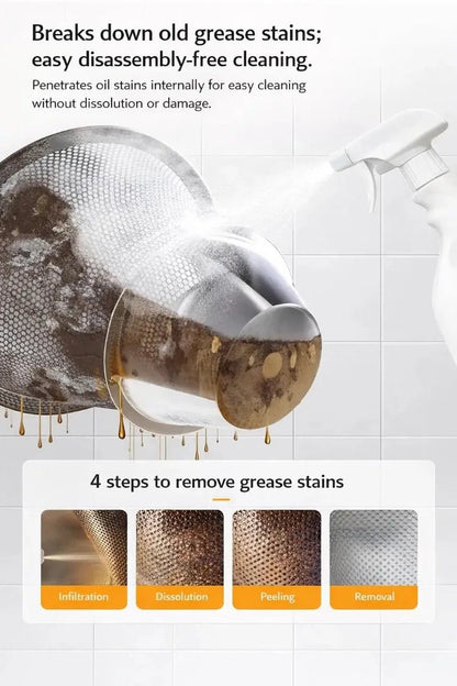 All-purpose household cleaning spray by BACKUPMYFILESNOW.COM® with spray bottle for kitchen grease, bathroom glass, and whole home cleaning