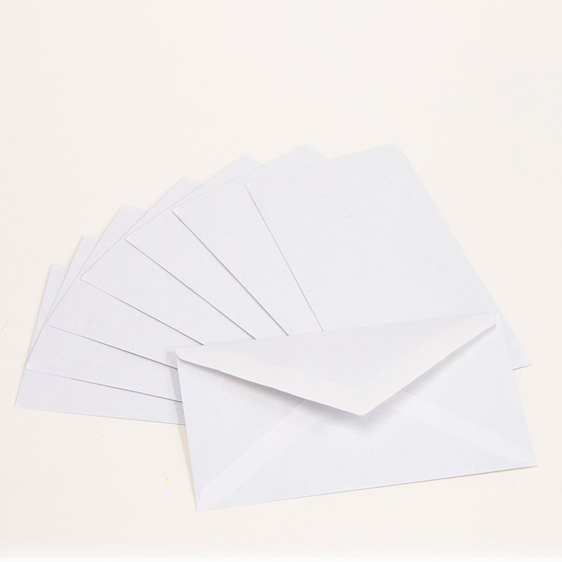 Box of 80 #6 3/4 security envelopes with gummed closures from BackupMyFilesNow.com, showing sealed envelopes ready for mailing.