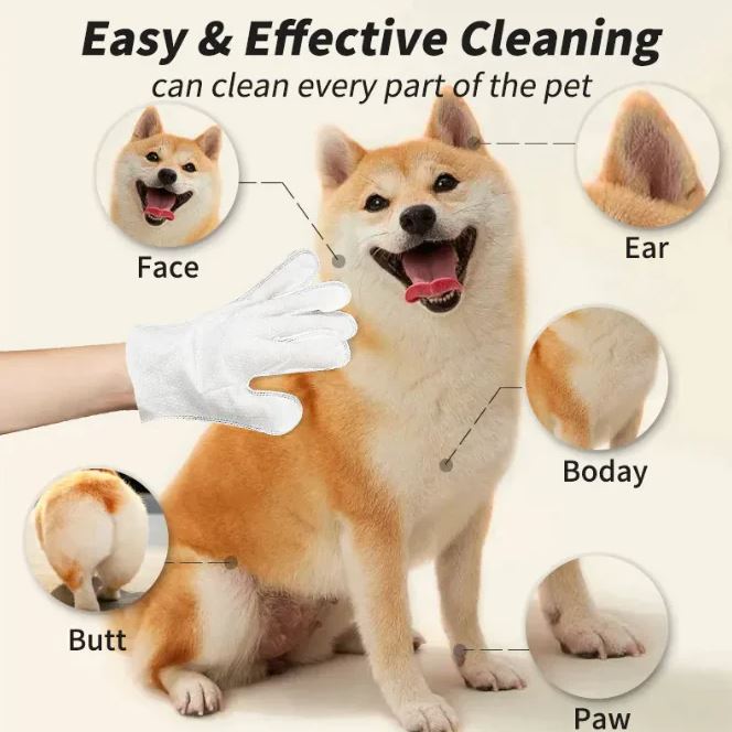 Extra thick disposable pet cleaning gloves and wipes from BackupMyFilesNow.com, showing gloves and wipes for grooming pets.