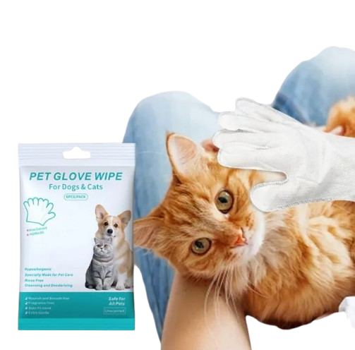 Extra-thick disposable pet cleaning gloves and wipes from BackupMyFilesNow.com for gentle grooming and mess cleanup.